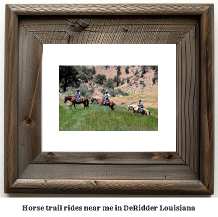 horse trail rides near me in DeRidder, Louisiana